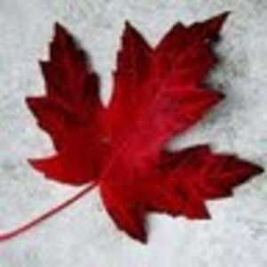 Meet your Posher, Roxanne